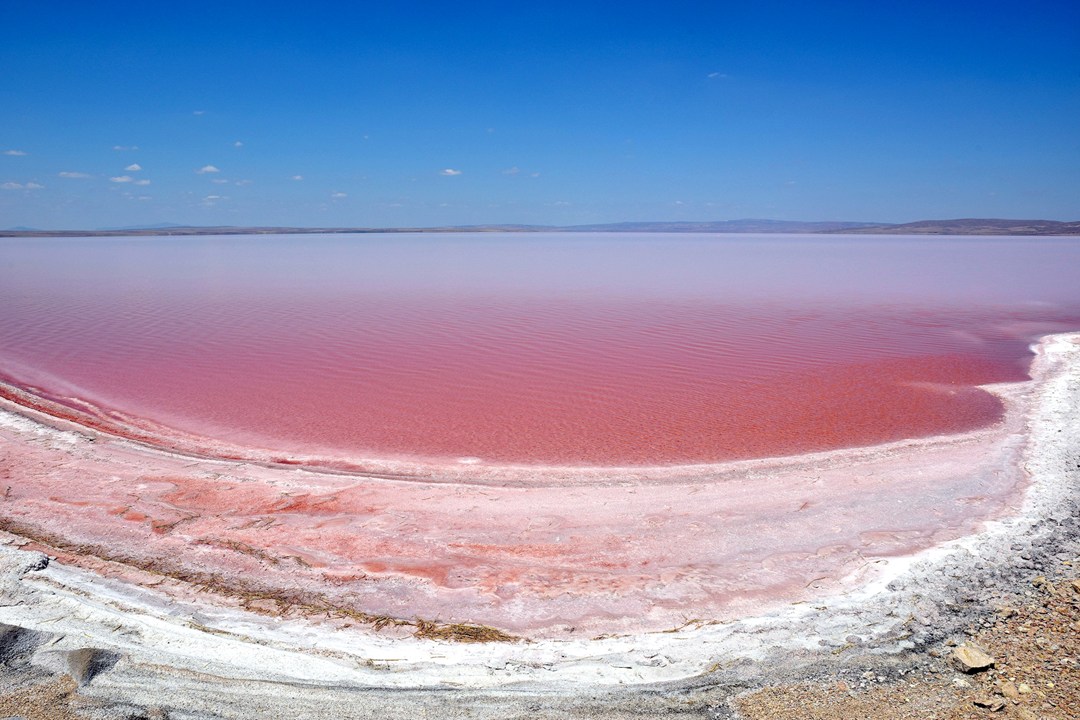 Salt-Lake-Turkey-Vogue-4Dec15-Getty_b_1080x720