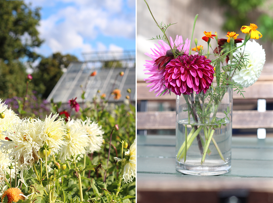 montage-jardins-de-rosendal-def