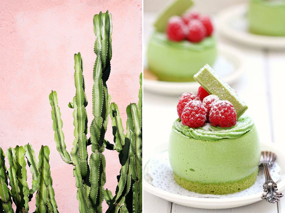 Petite and So What - Vert Greenery inspiration - Pantone 2017