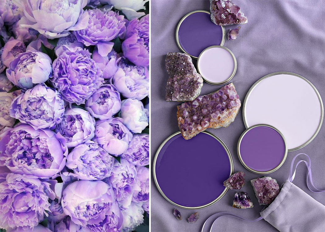 petite and so what - pantone ultra violet 3